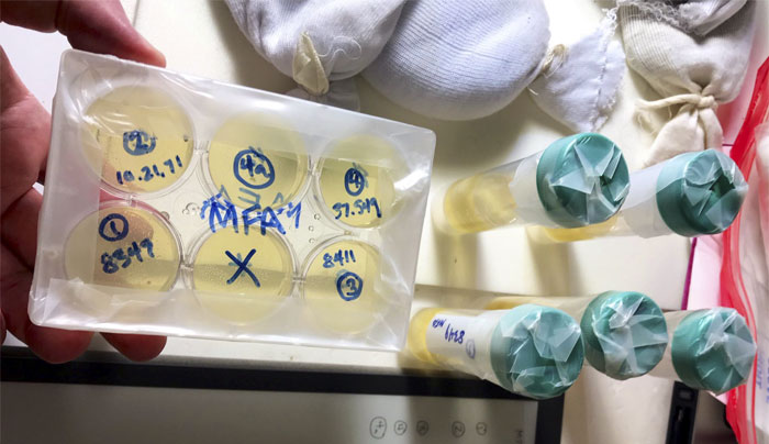 Scientist Bakes Bread From 4,500-Year-Old Yeast, Says The Flavor Is Incredible