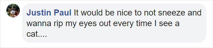 This New ‘Vaccine’ Can Prevent You From Being Allergic To Cats This New ‘Vaccine’ Can Prevent You From Being Allergic To Cats