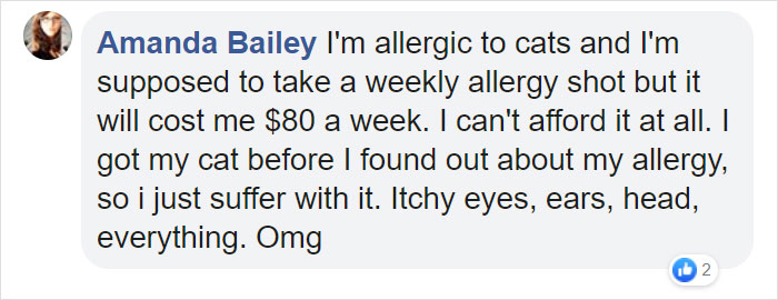 This New ‘Vaccine’ Can Prevent You From Being Allergic To Cats This New ‘Vaccine’ Can Prevent You From Being Allergic To Cats