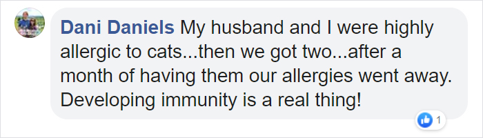 This New ‘Vaccine’ Can Prevent You From Being Allergic To Cats This New ‘Vaccine’ Can Prevent You From Being Allergic To Cats