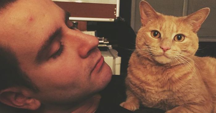 This New ‘Vaccine’ Can Prevent You From Being Allergic To Cats