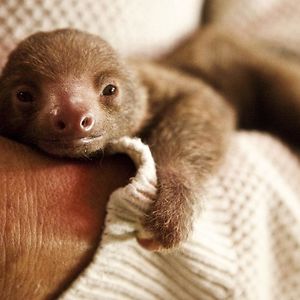 2024johnson-rhyann avatar