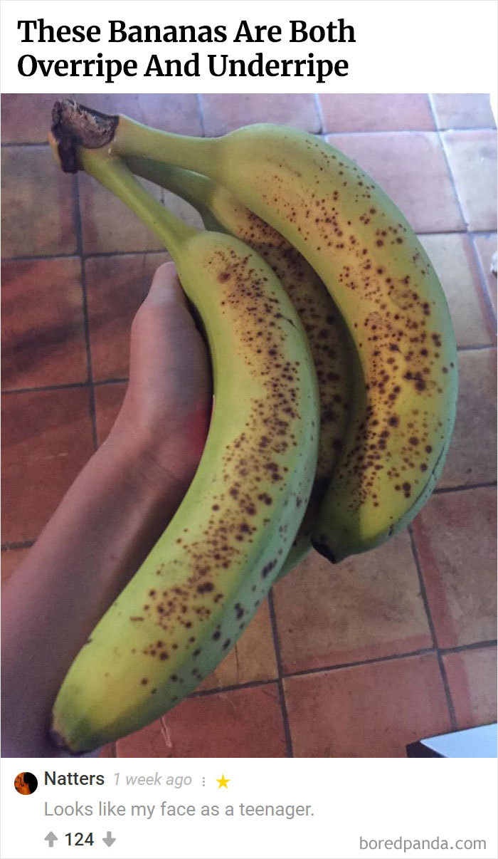 Here Is Bored Panda's Hall Of Fame With The 50 Most Hilarious Comments