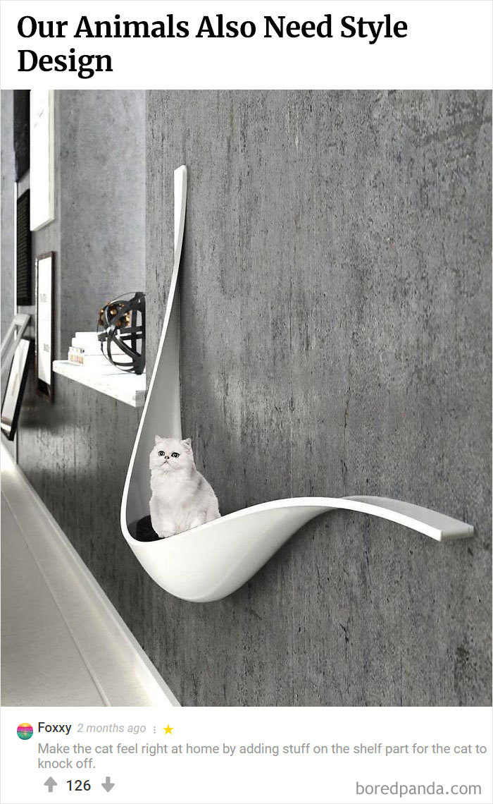 Here Is Bored Panda's Hall Of Fame With The 50 Most Hilarious Comments