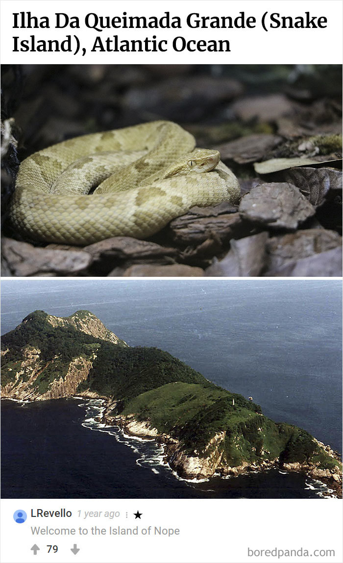 Here Is Bored Panda's Hall Of Fame With The 50 Most Hilarious Comments