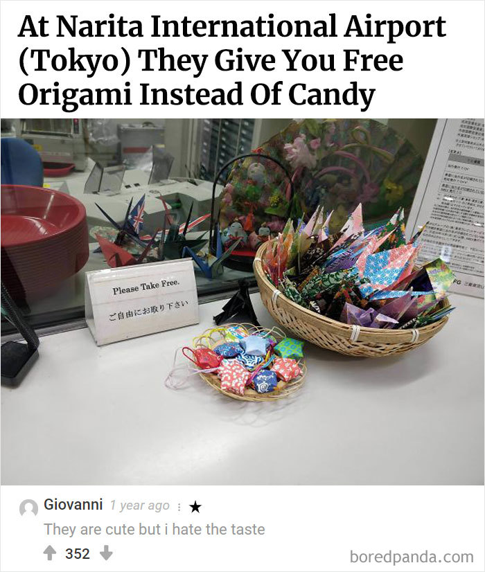 Best-Bored-Panda-Users-Comments