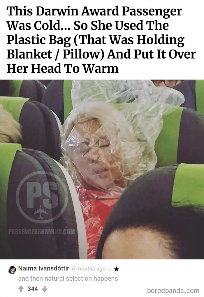 Best-Bored-Panda-Users-Comments