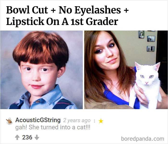 Here Is Bored Panda's Hall Of Fame With The 50 Most Hilarious Comments