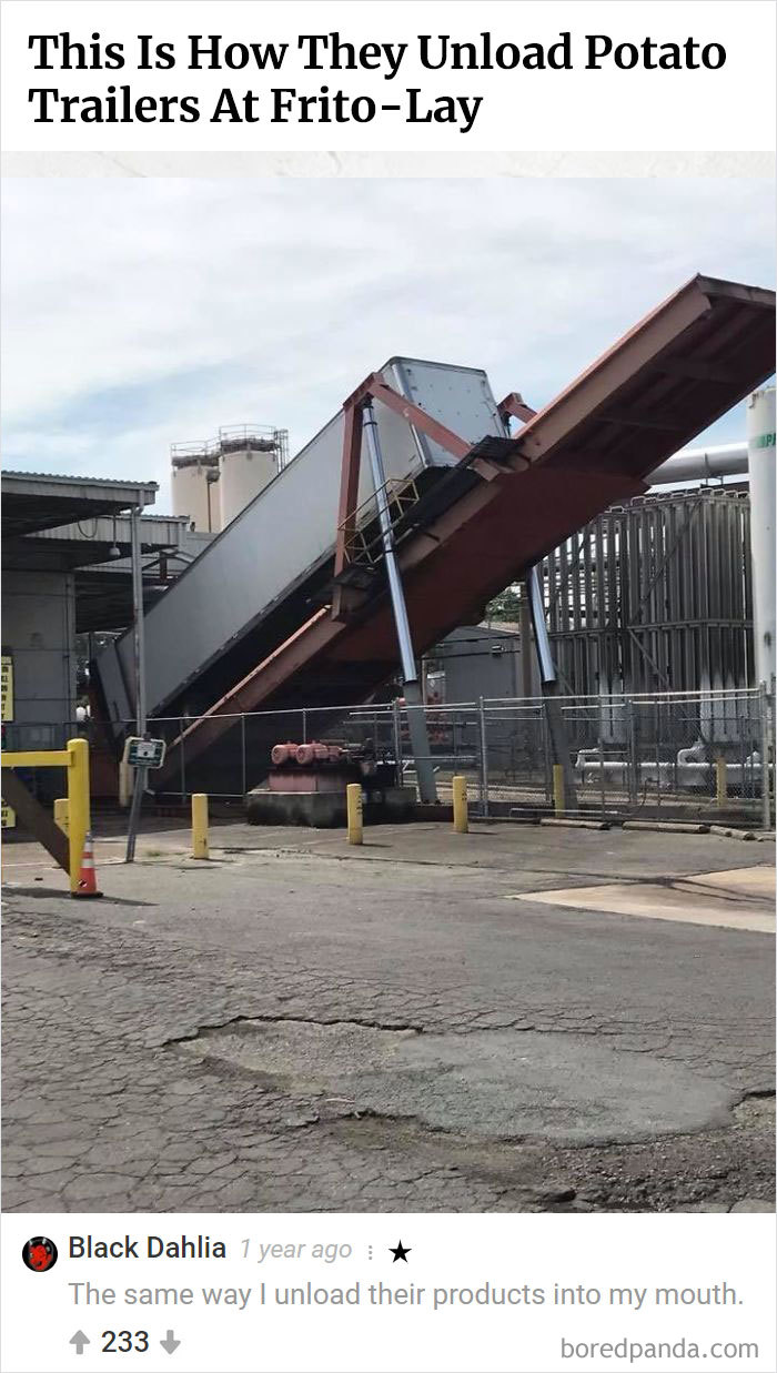 Here Is Bored Panda's Hall Of Fame With The 50 Most Hilarious Comments