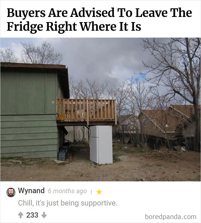 Here Is Bored Panda's Hall Of Fame With The 50 Most Hilarious Comments