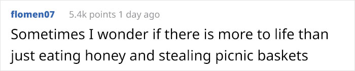After Bears Kept Coming To This Man's Bee Farm To Steal Honey, He Decided To Turn Them Into Honey Tasters