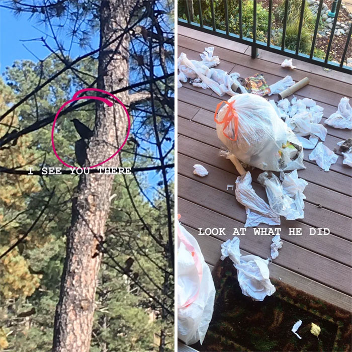 I Work In Housekeeping And This Butthole Undid My Work!