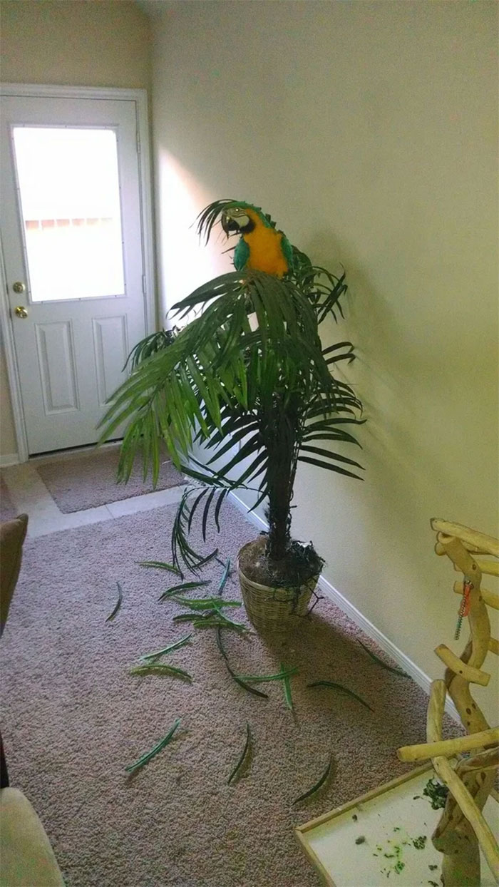 Just Came Home To This Ass****