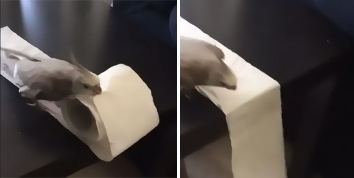 It Looks Better On The Floor, Karen