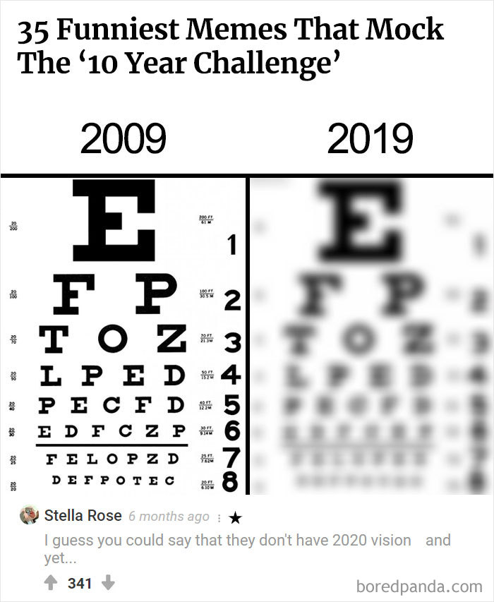 Here Is Bored Panda's Hall Of Fame With The 50 Most Hilarious Comments