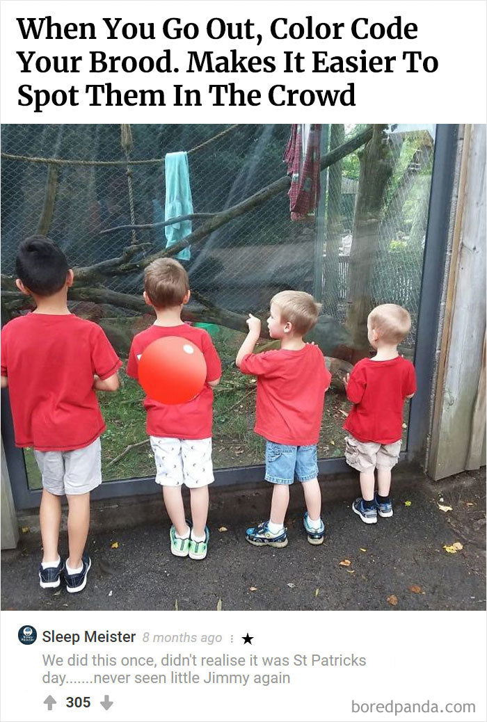 Here Is Bored Panda's Hall Of Fame With The 50 Most Hilarious Comments