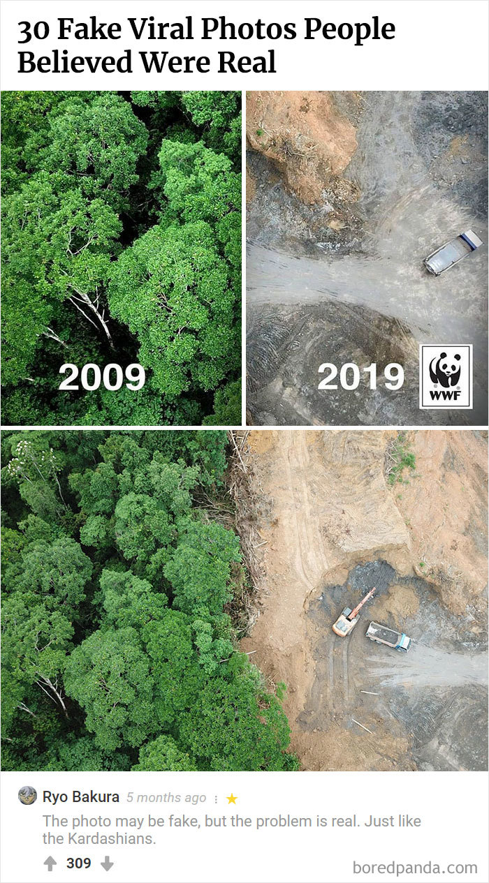 Here Is Bored Panda's Hall Of Fame With The 50 Most Hilarious Comments