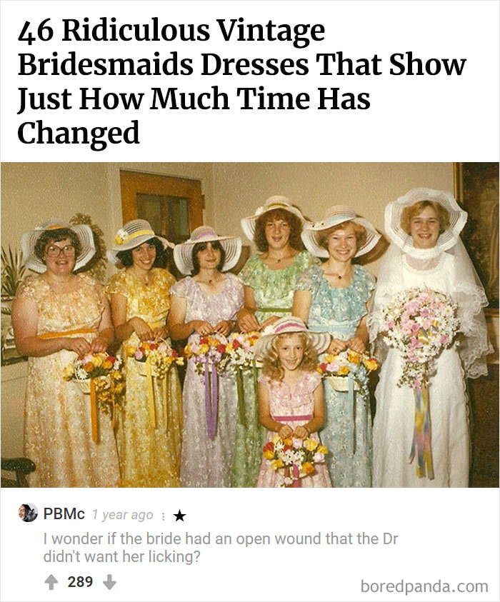 Here Is Bored Panda's Hall Of Fame With The 50 Most Hilarious Comments