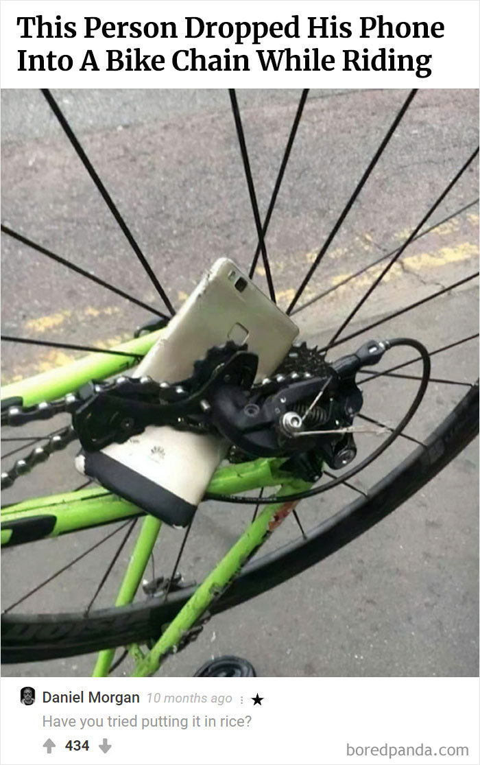 Here Is Bored Panda's Hall Of Fame With The 50 Most Hilarious Comments