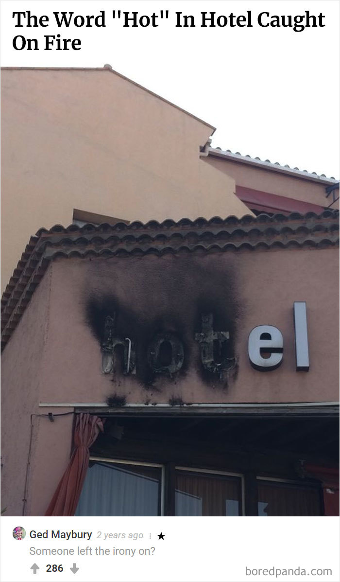 Here Is Bored Panda's Hall Of Fame With The 50 Most Hilarious Comments