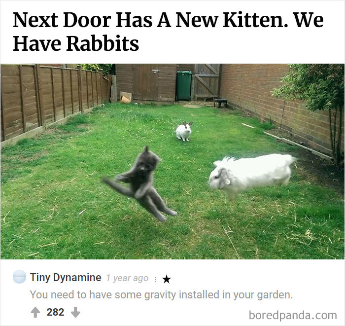 Here Is Bored Panda's Hall Of Fame With The 50 Most Hilarious Comments