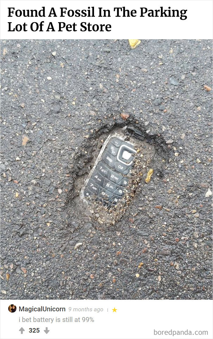 Here Is Bored Panda's Hall Of Fame With The 50 Most Hilarious Comments