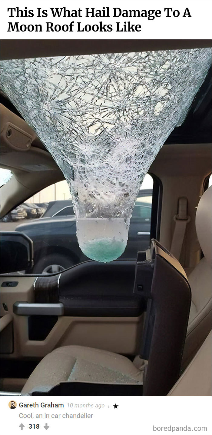 Here Is Bored Panda's Hall Of Fame With The 50 Most Hilarious Comments