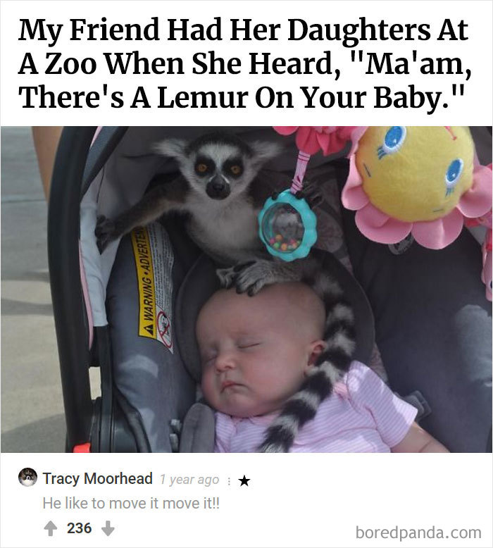 Here Is Bored Panda's Hall Of Fame With The 50 Most Hilarious Comments