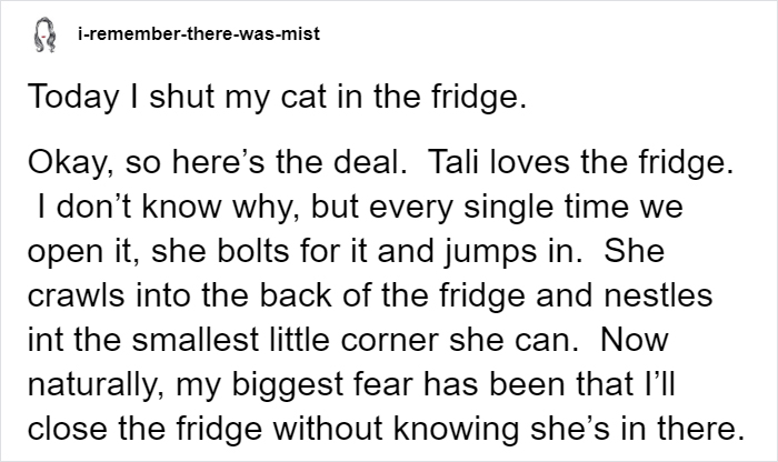 Owner Accidentally Locks Her Cat In The Fridge, Cat Acts Like Nothing Happened When Found Moments Later Owner Accidentally Locks Her Cat In The Fridge, Cat Acts Like Nothing Happened When Found Moments Later