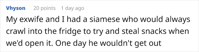 Owner Accidentally Locks Her Cat In The Fridge, Cat Acts Like Nothing Happened When Found Moments Later Owner Accidentally Locks Her Cat In The Fridge, Cat Acts Like Nothing Happened When Found Moments Later