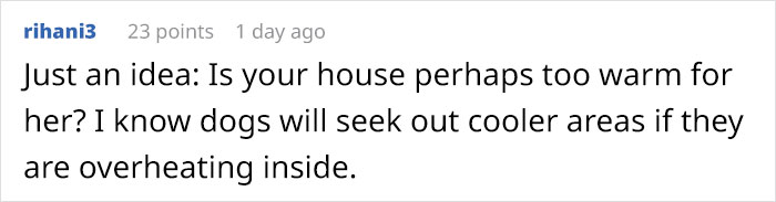 Owner Accidentally Locks Her Cat In The Fridge, Cat Acts Like Nothing Happened When Found Moments Later