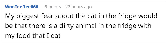 Owner Accidentally Locks Her Cat In The Fridge, Cat Acts Like Nothing Happened When Found Moments Later Owner Accidentally Locks Her Cat In The Fridge, Cat Acts Like Nothing Happened When Found Moments Later