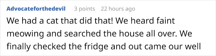 Owner Accidentally Locks Her Cat In The Fridge, Cat Acts Like Nothing Happened When Found Moments Later