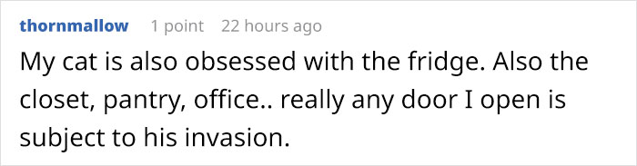 Owner Accidentally Locks Her Cat In The Fridge, Cat Acts Like Nothing Happened When Found Moments Later