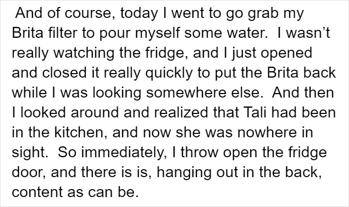 Owner Accidentally Locks Her Cat In The Fridge, Cat Acts Like Nothing Happened When Found Moments Later Owner Accidentally Locks Her Cat In The Fridge, Cat Acts Like Nothing Happened When Found Moments Later