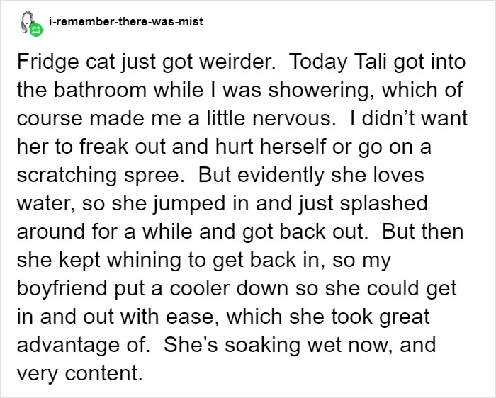 Owner Accidentally Locks Her Cat In The Fridge, Cat Acts Like Nothing Happened When Found Moments Later Owner Accidentally Locks Her Cat In The Fridge, Cat Acts Like Nothing Happened When Found Moments Later