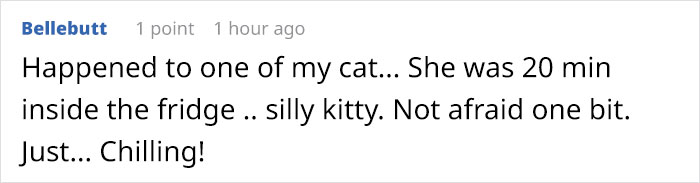 Owner Accidentally Locks Her Cat In The Fridge, Cat Acts Like Nothing Happened When Found Moments Later Owner Accidentally Locks Her Cat In The Fridge, Cat Acts Like Nothing Happened When Found Moments Later
