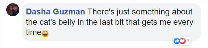 17-Year-Old Makes Hilarious TikTok Video Of Her Cat Dancing To “Mr. Sandman” And 1.5 Million People Love It 17-Year-Old Makes Hilarious TikTok Video Of Her Cat Dancing To “Mr. Sandman” And 1.5 Million People Love It