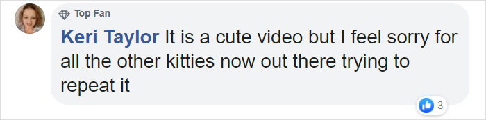 17-Year-Old Makes Hilarious TikTok Video Of Her Cat Dancing To “Mr. Sandman” And 1.5 Million People Love It 17-Year-Old Makes Hilarious TikTok Video Of Her Cat Dancing To “Mr. Sandman” And 1.5 Million People Love It