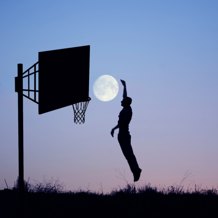 Moon Silhouettes By Adrian Limani