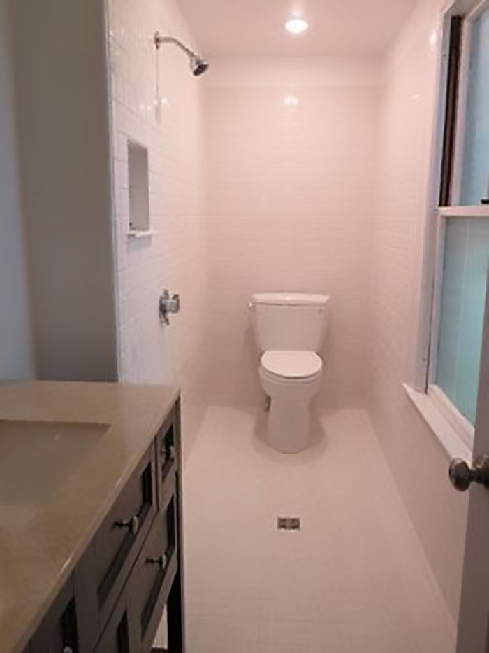 Let's Just Put The Toilet In The Shower