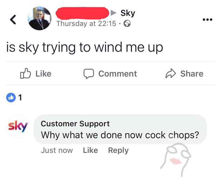 Customer-Support-Guy-Different-Companies-Logos-Facebook-Profile