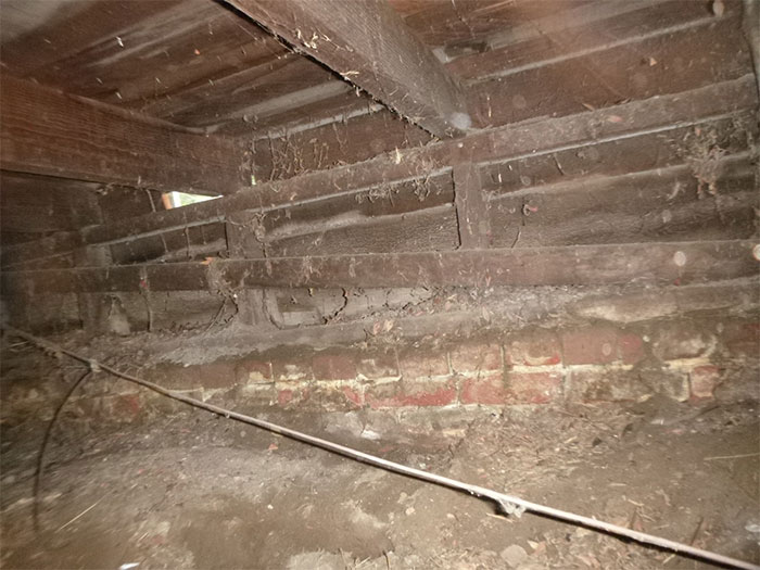 Dangerous-Weird-Things-Structural-Inspections