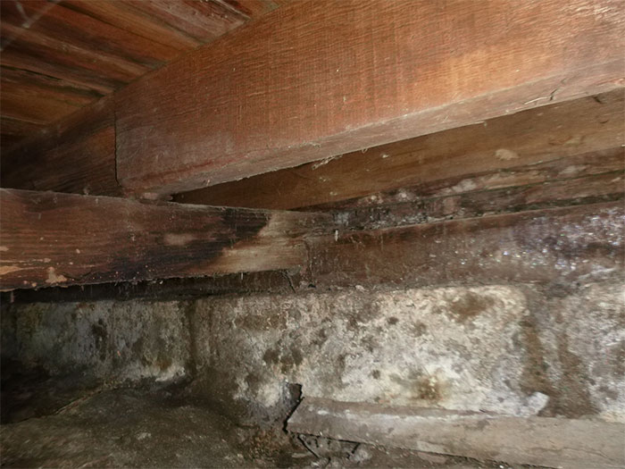 Dangerous-Weird-Things-Structural-Inspections