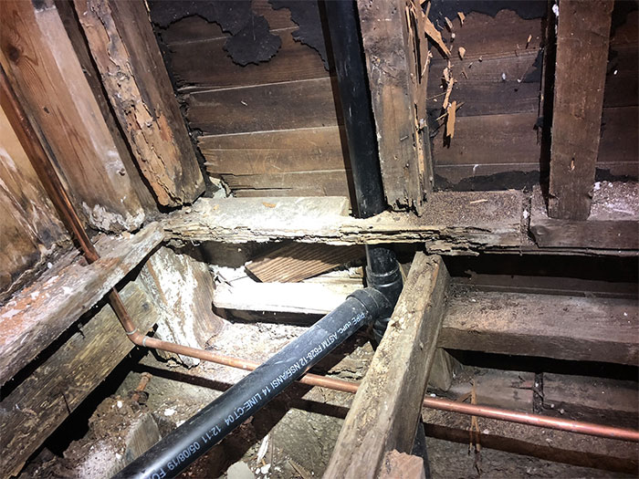 Dangerous-Weird-Things-Structural-Inspections