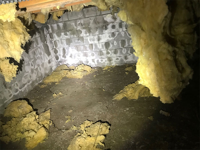 Dangerous-Weird-Things-Structural-Inspections