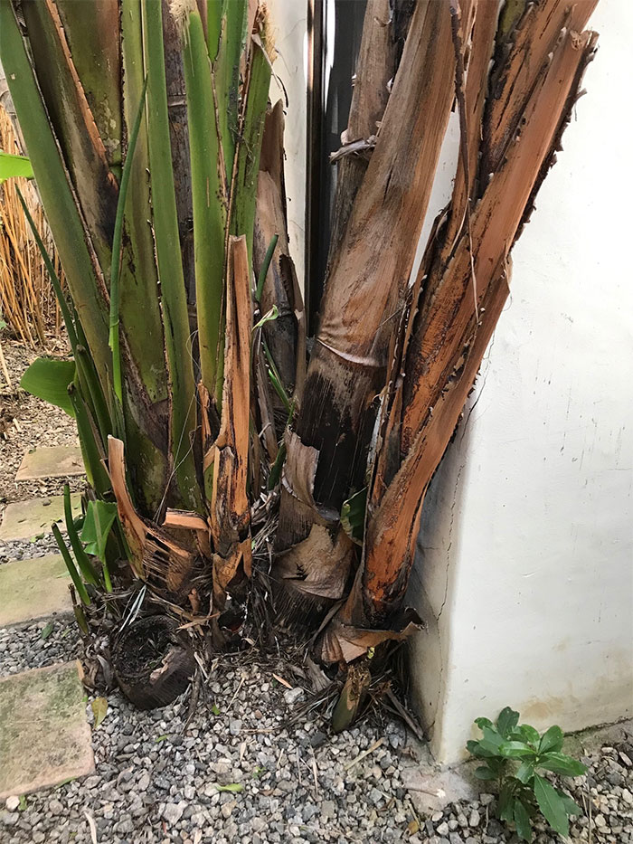 Dangerous-Weird-Things-Structural-Inspections