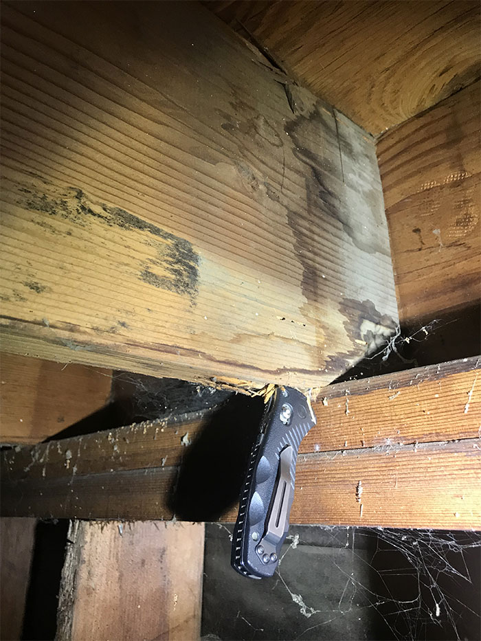 Dangerous-Weird-Things-Structural-Inspections