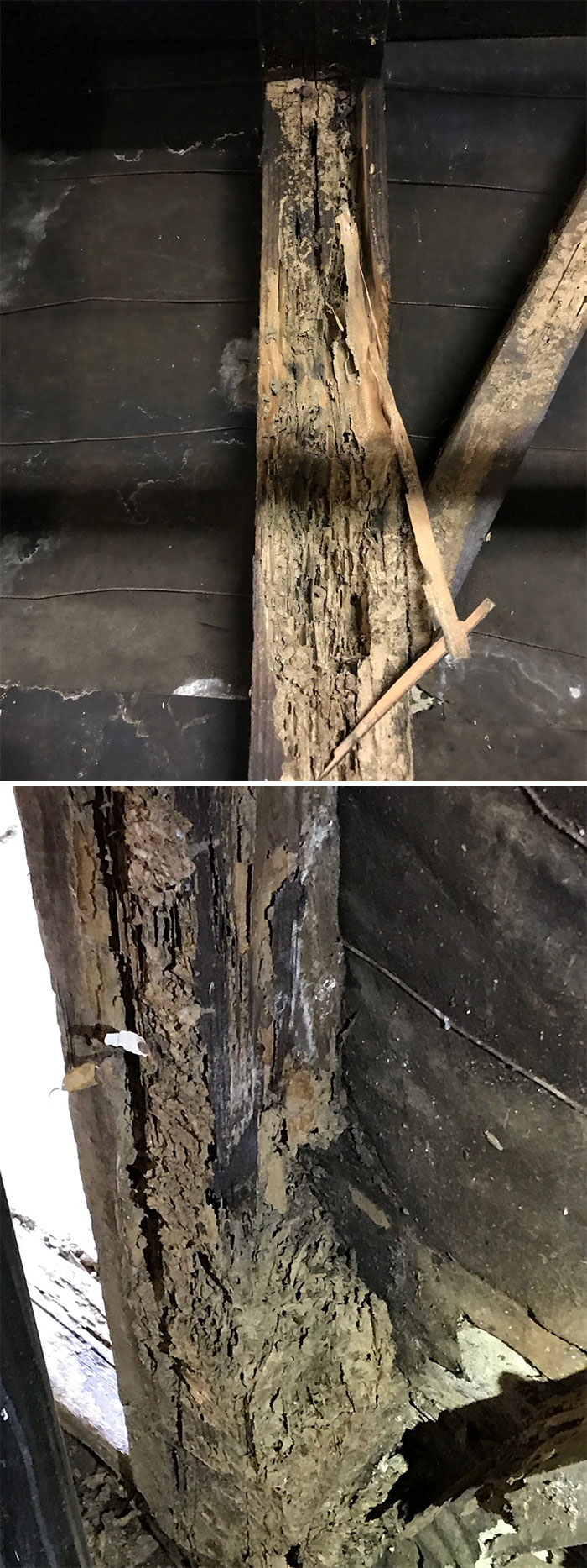 Dangerous-Weird-Things-Structural-Inspections