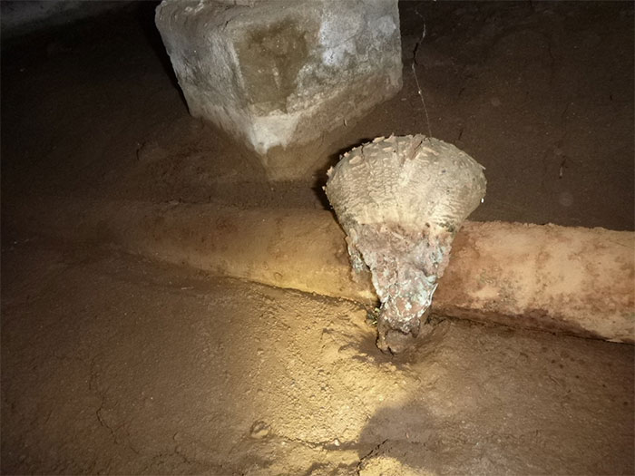 Dangerous-Weird-Things-Structural-Inspections